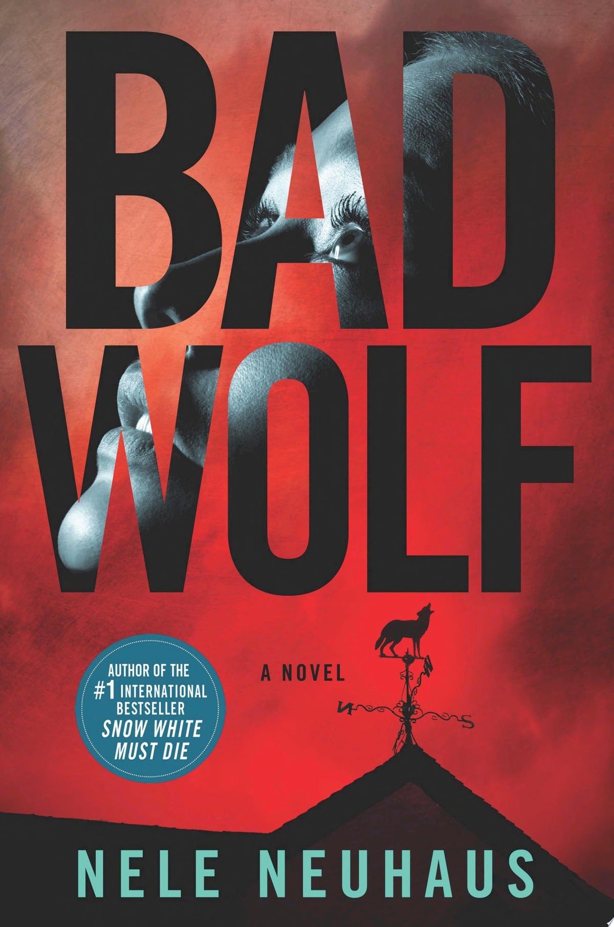 Bad Wolf A Novel