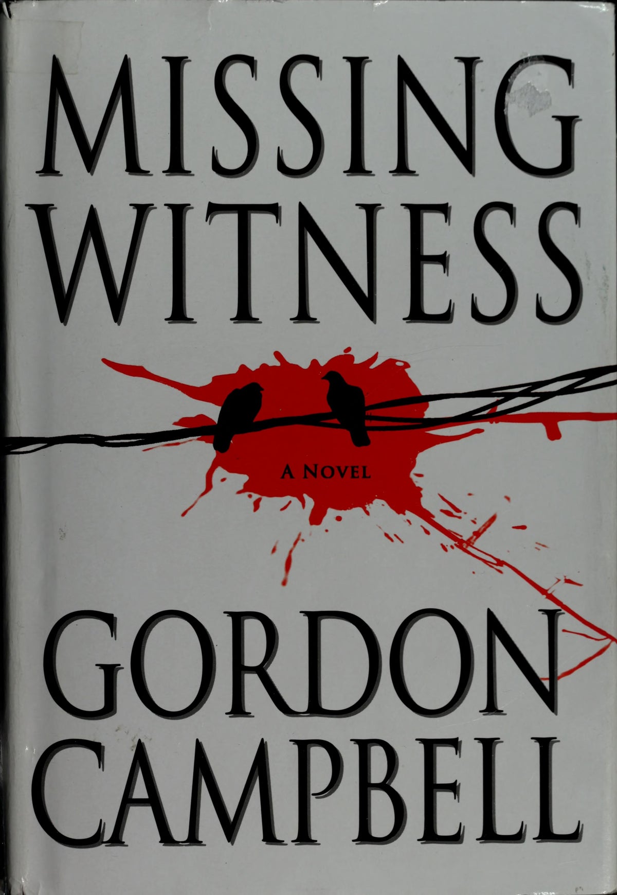Missing Witness