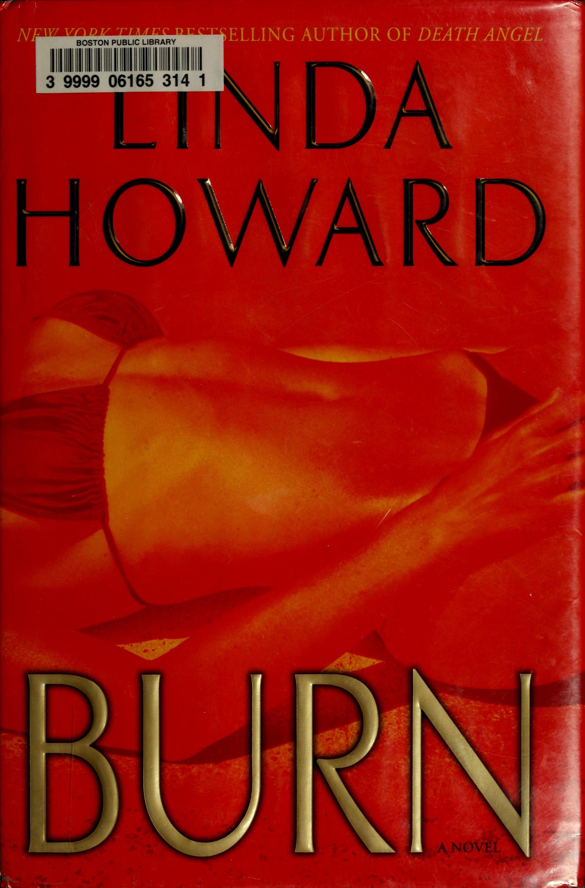 Burn A Novel