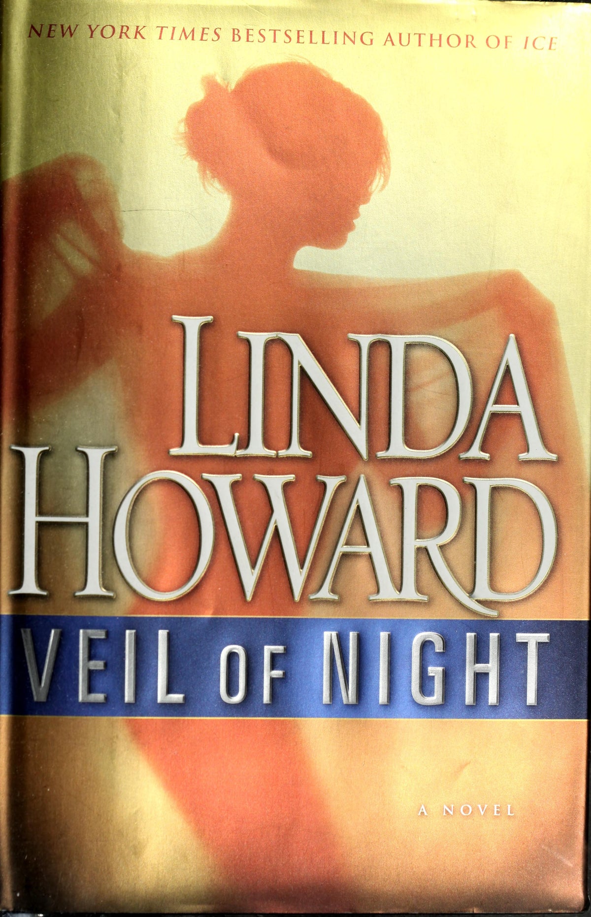 Veil of Night A Novel