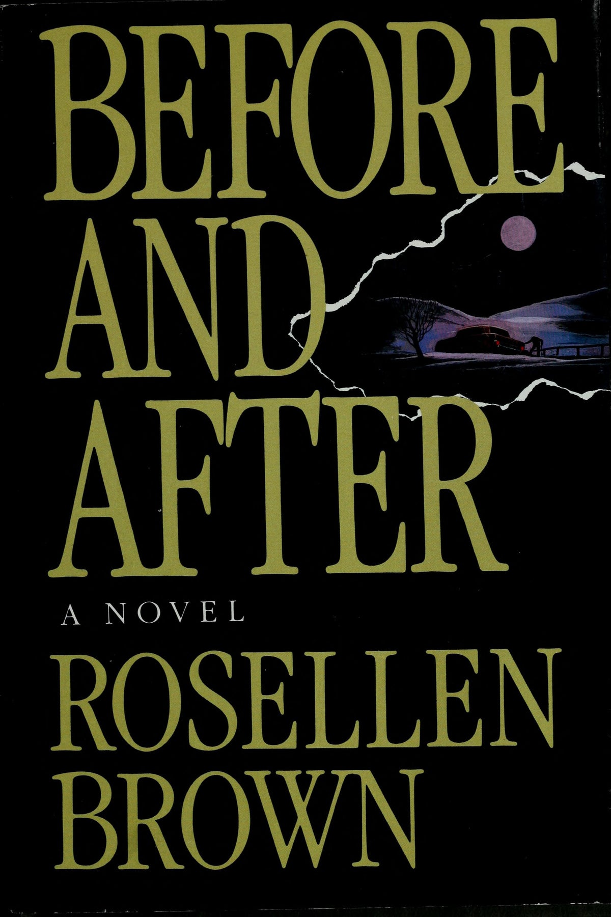 Before and After A Novel