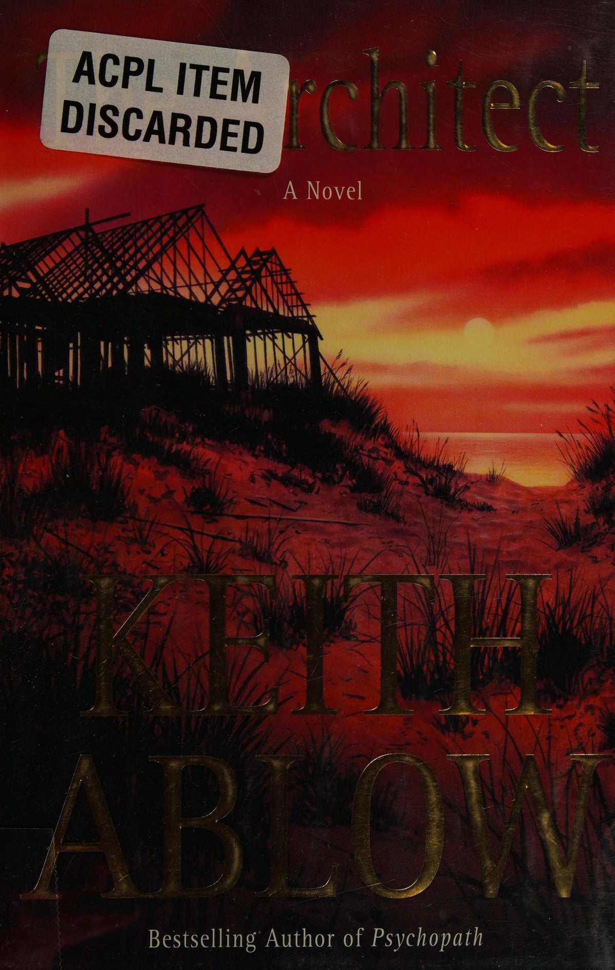 The Architect A Novel