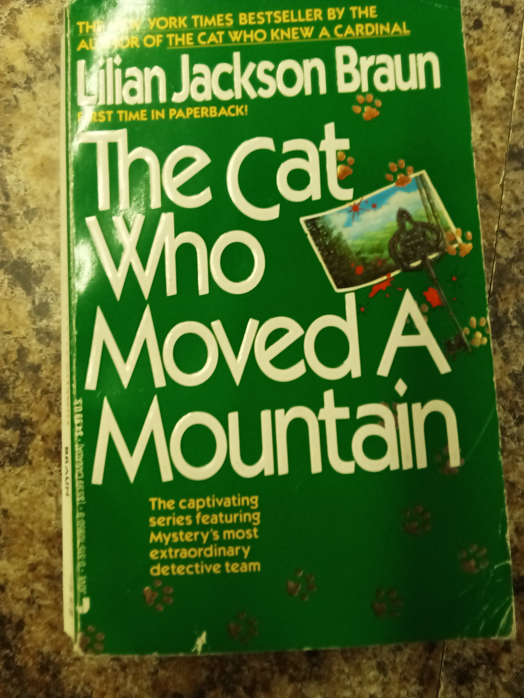 The cat who moved Mountains