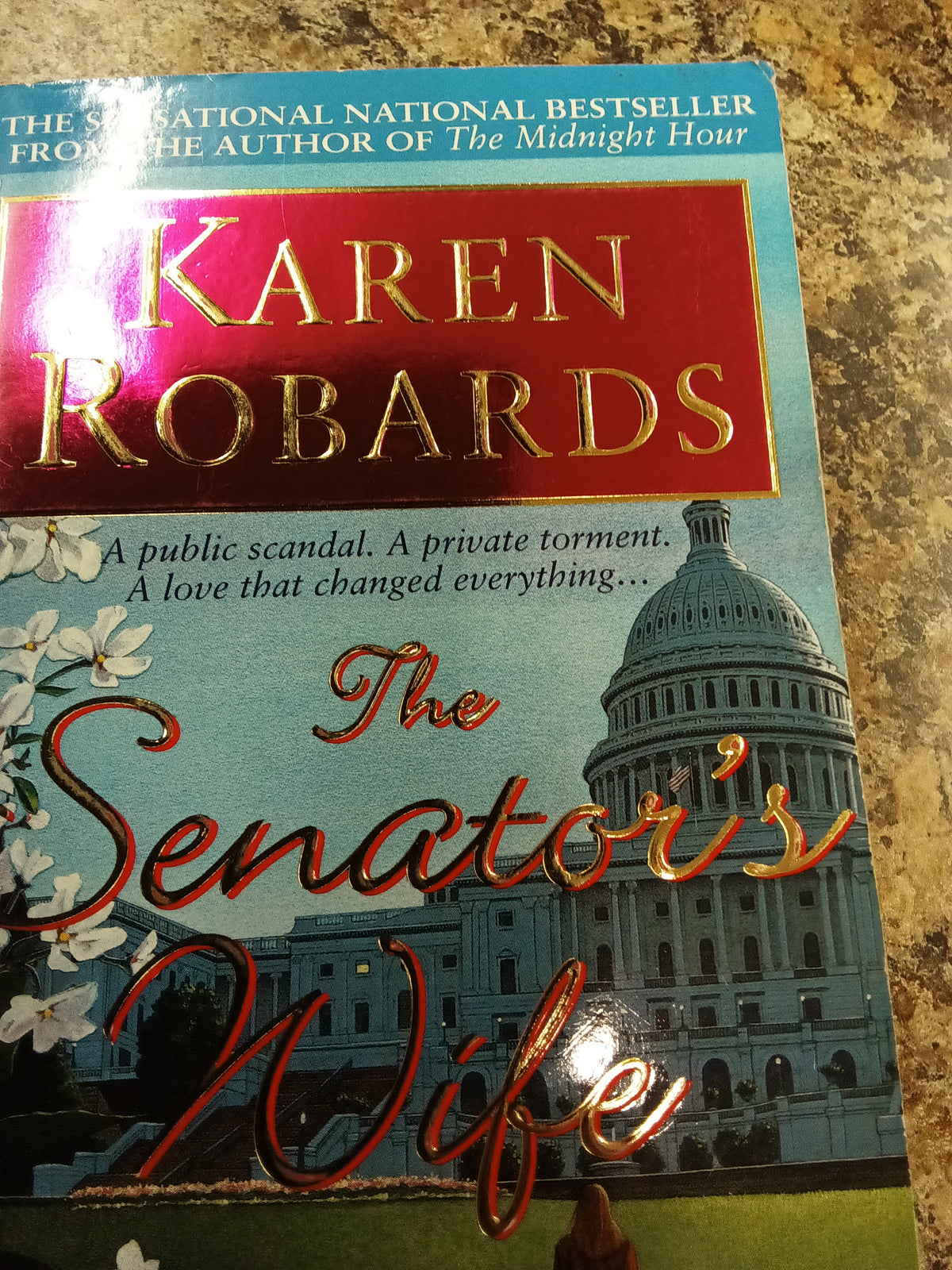 The Senator's Wife